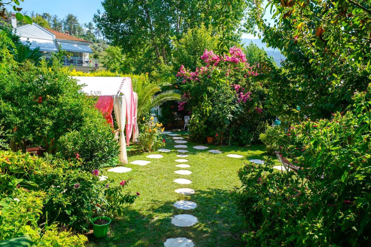 Angel Villa - Thassos Town Exteriér fotografie